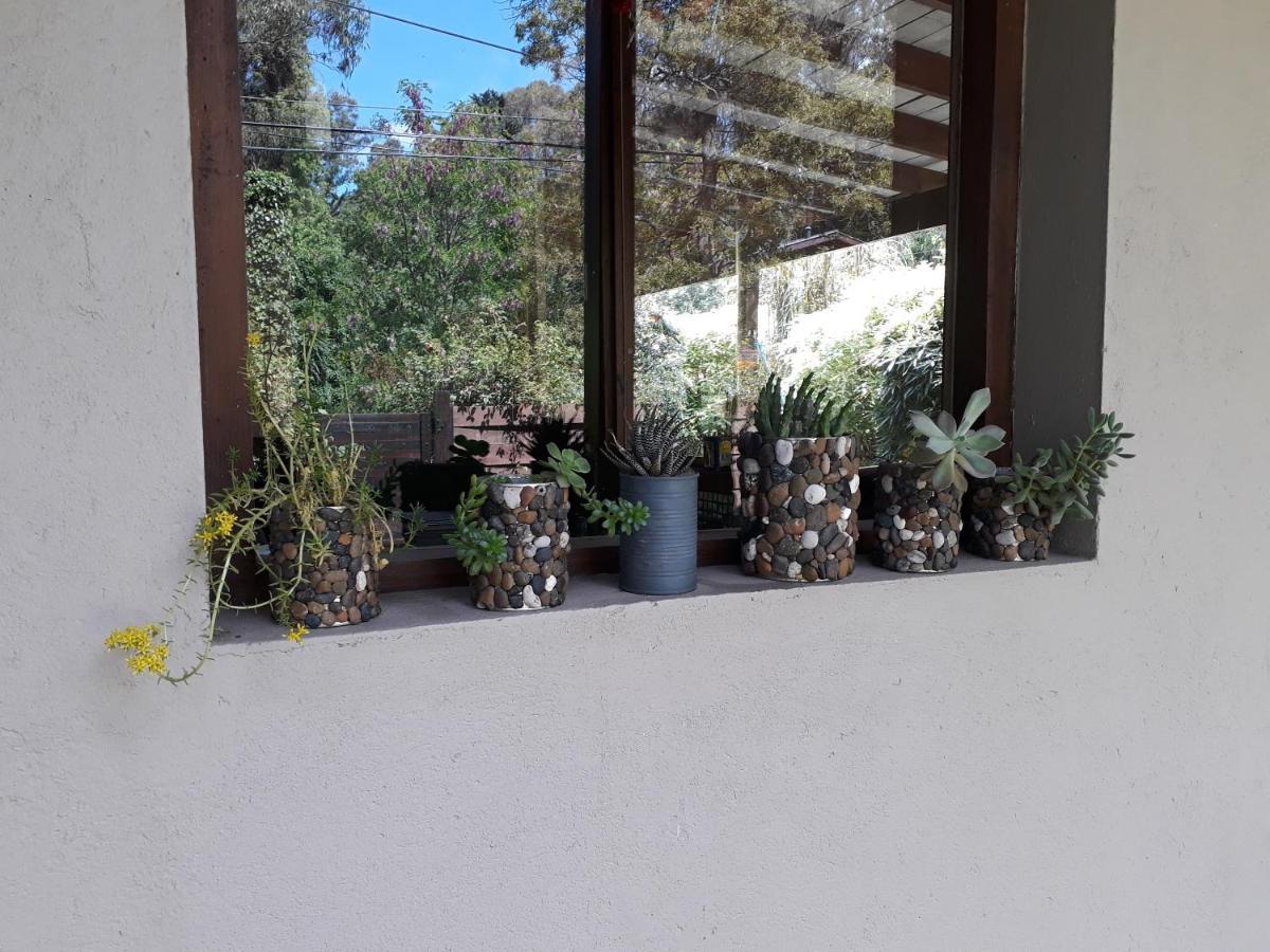 Las Cortaderas Bosque Peralta Ramos Mar del Plata Kültér fotó