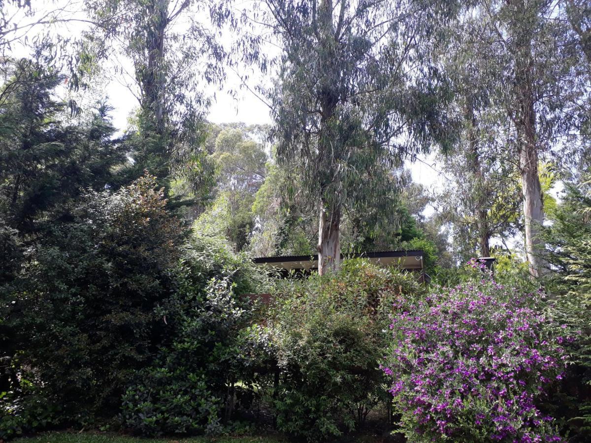 Las Cortaderas Bosque Peralta Ramos Mar del Plata Kültér fotó